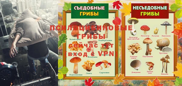первитин Абинск